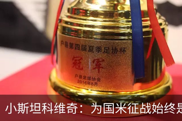 小斯坦科维奇：为国米征战始终是我的梦想 我的父亲比我还激动