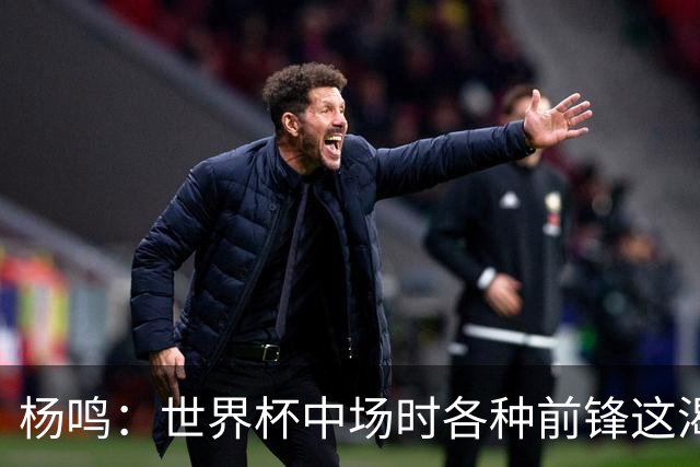 杨鸣：世界杯中场时各种前锋这渴了那饿了全来了 谁能记住后卫呢